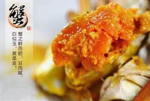 ��Ʒĸз 116Ԫ/ֻ